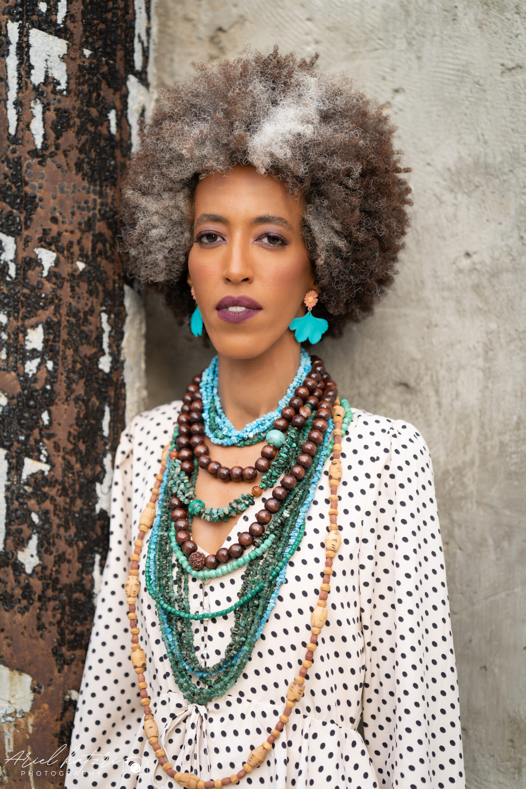 זמנאי לב ארי